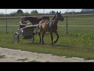 Әйелі жалаңаш еден сүртіп жатыр (видео)