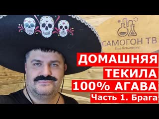 Домашняя текила 100% агава ставим брагу для текилы из 100% сиропа голубой агавы (100% blue agava)