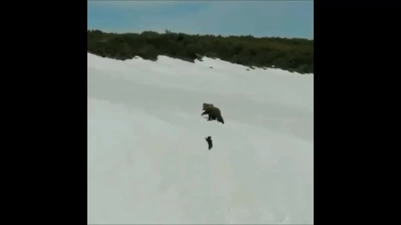 "временные трудности"