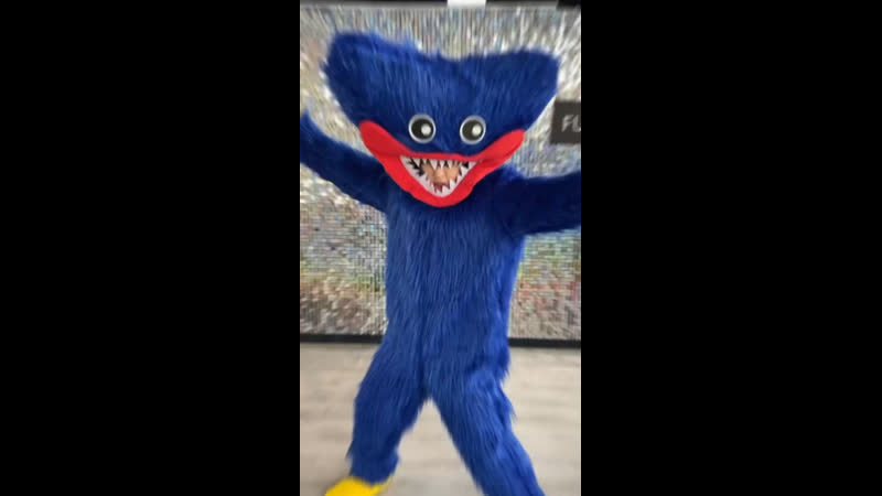 Хагги вагги