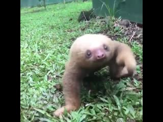 Turn that frown upside down