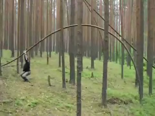 Древесный прыгун[censored]лучшие приколы 2014 жесть ахах смотреть всем угар ржачь до слез улыбнуло смех угарное видео не могу
