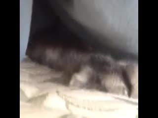 Demonic beast almost catches hand of unsuspecting human