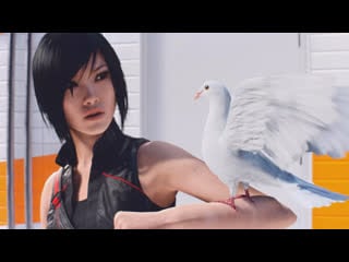 (2) mirrors edge™ catalyst