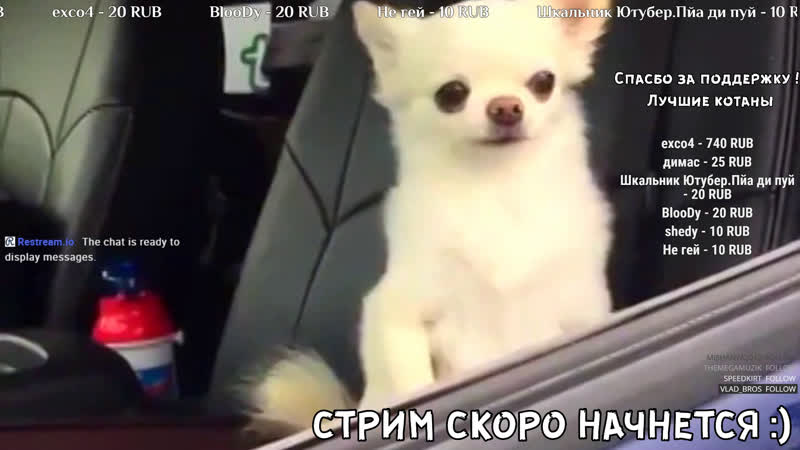 Стрим дейз headhunters читаем чат/ dayz standalone / подпишись взаимно и сыграем вместе !