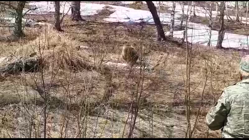 Спизд*л ящик с инструментом