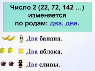 Русский с фруктами 7 урок количество родительный падеж учим русский язык