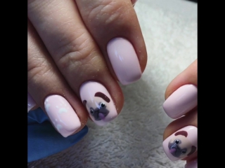 Мопсики поближе 🔎