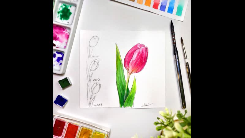 Рисуем тюльпан