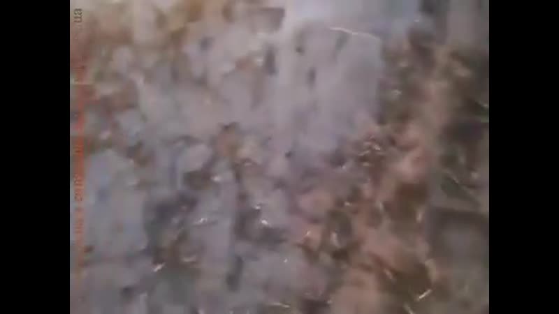 Снял берцы с жмура