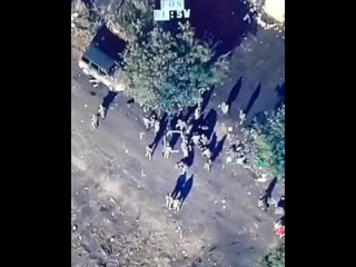 Adam hakli 20201013 6 mp4