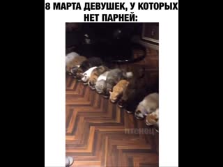 Сколько мимими😯🥰