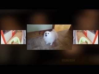 Владислав, беби донт хёрт ми (vhs video)