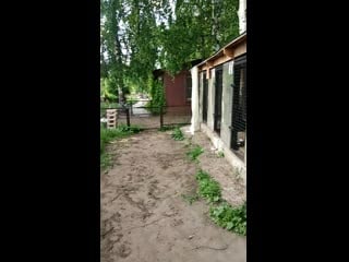 Vid 20200608 163007 mp4