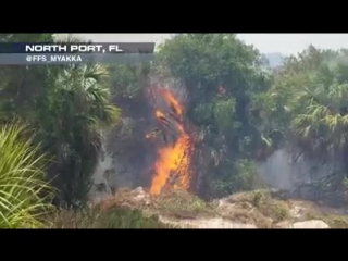 Fires are still antagonizing the southeast large smoke plumes and big flames can be seen in south florida and south georgia