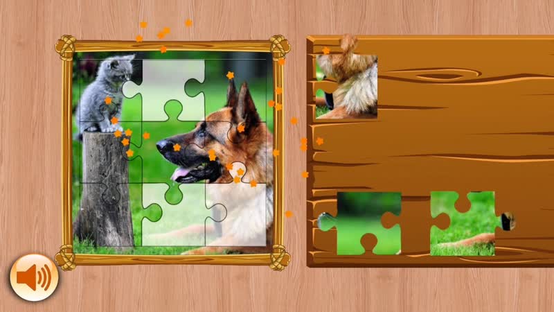 Пазлы кошки и молодые