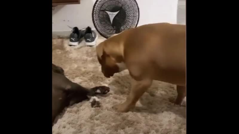 Переживает за любимую