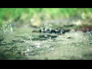 Красивый ролик гринвей