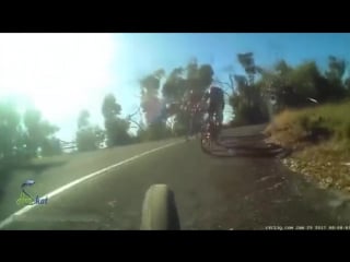 Kangaroo surprises cyclist jumping out and clipping his helmet