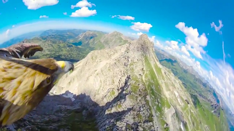 Альпы с высоты птичьего полёта