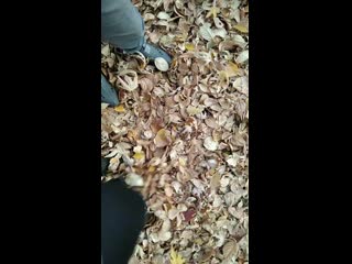 Vid 20201017 161444 mp4