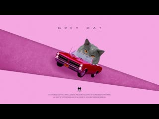 Joey bada$$ x mac miller | wichti x valery vlasov «grey cat» jazz / trap / smooth / 120 bpm / fm