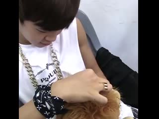 Jimin styling the stuffed lions hair to make it look like taes, boyfriend