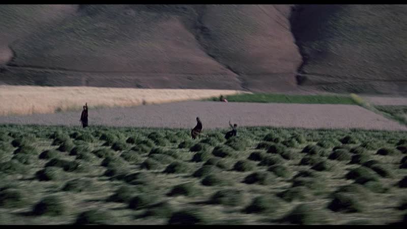 Нас унесет ветер (1999) аббас киаростами