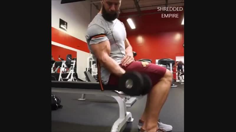 Тренироа бицепса