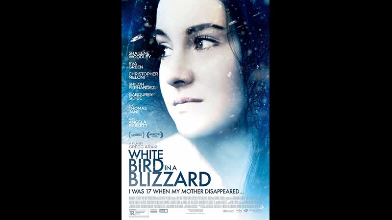 Белая птица в метели white bird in a blizzard (2014)