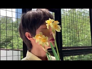 [twitter] holland vvv 20190501 "🌼📸🌼"