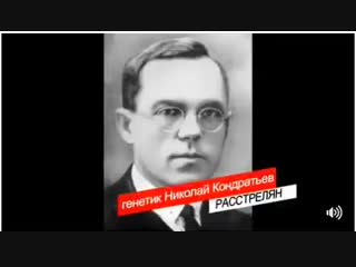 Это видео должны показывать по всем российским каналам, каждый день вместо воплей