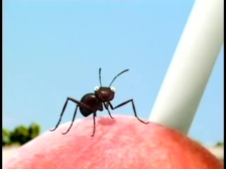 Thomas szabo, helene giraud minuscule the quest for the pink lollipop (2007)