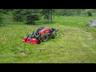 Der pth hymog auf der veitsch alm