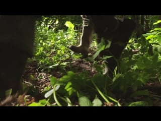 Хабургаев в натуре бобро пожаловать!