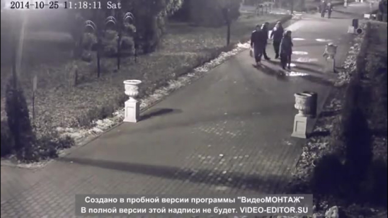 Дрессироа русских детей россиянское быдло валит инсталляции в парке
