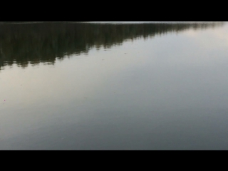 Александроа,карп 10 кг 2