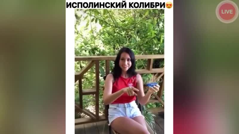Исполинский колибри