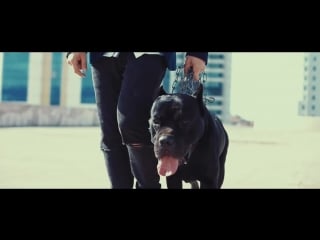 Boss dogz saldır
