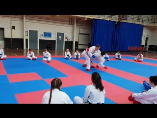 Junior lefevre sensei at cika england seminar