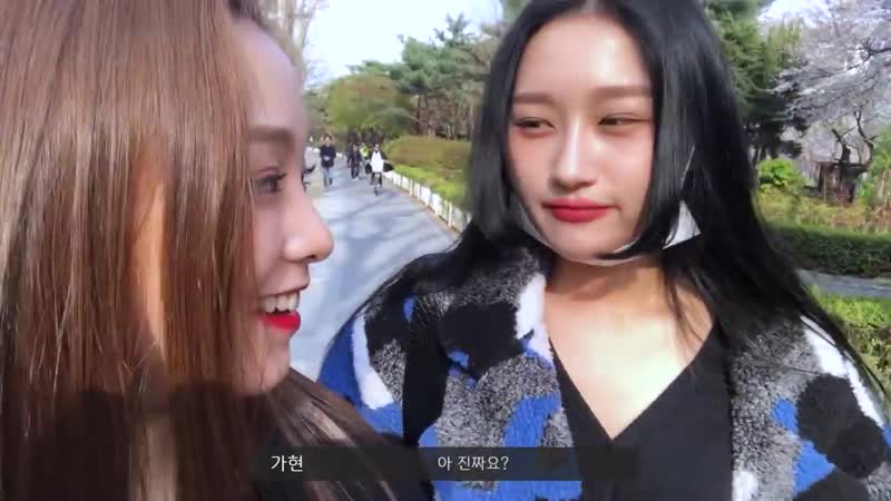 [dreamcatcher’ vlog ] 가현이의 브이로그 벚꽃놀이 롯데월드 편