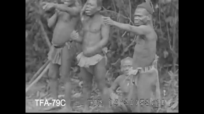 Африканские пигмеи, 1930 е the pygmies of africa, 1930s