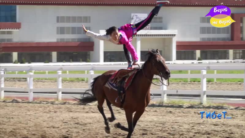 Скачки в тибете
