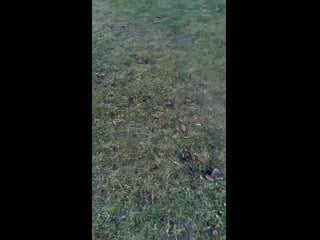 Vid 20210103 130243 mp4