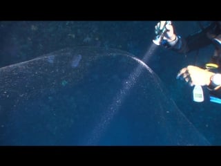 В турции дайверы обнаружили на дне гигантский прозрачный шар неизвестной природы