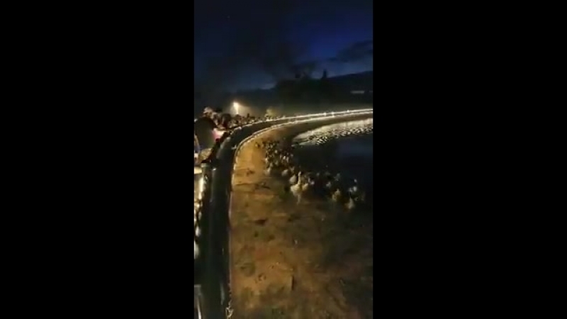 Валим валим валим