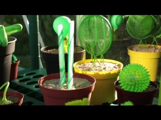 A greenhouse filled with faux flora and fauna by swiss/danish artist duo putput