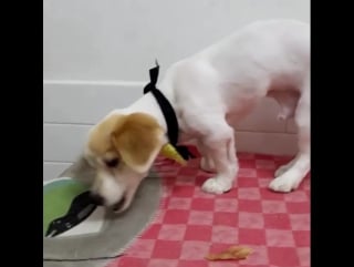 160304 2ig"s lily july