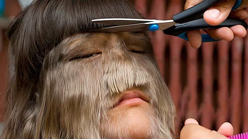 [tophype] самая волосатая девушка в мире подстриглась для свадьбы вы должны увидеть, как она выглядит