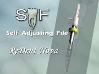 Self adjustable file (saf)
